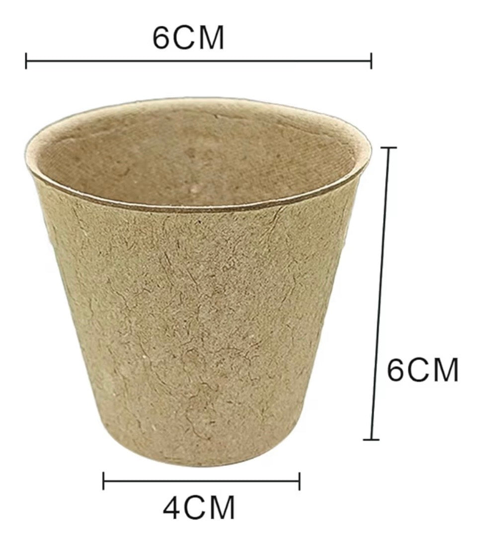 Biodegradable pot option for personalised seed planting kit favour