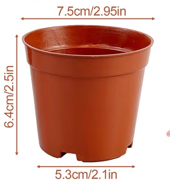 Reusable plastic pot option for personalised seed planting kit favour