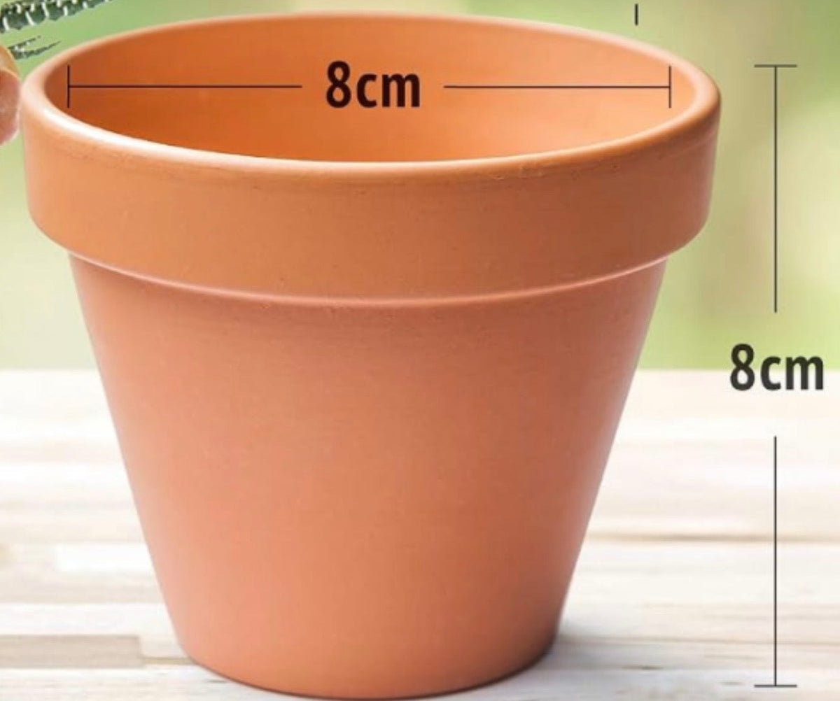 Terracotta pot option for personalised seed planting kit favour