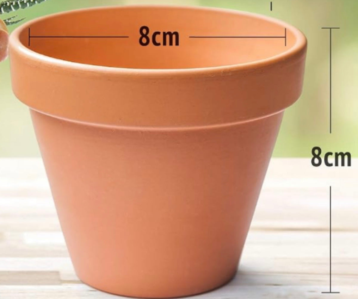 Terracotta pot option for personalised seed planting kit wedding favour